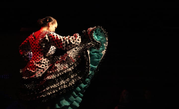 una bailaora haciendo arte flamenco